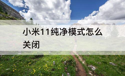 小米11纯净模式怎么关闭