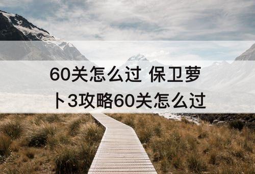 60关怎么过 保卫萝卜3攻略60关怎么过