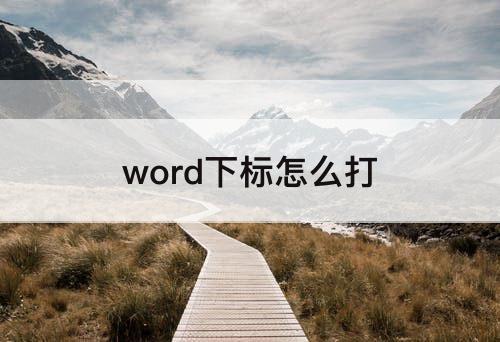 word下标怎么打