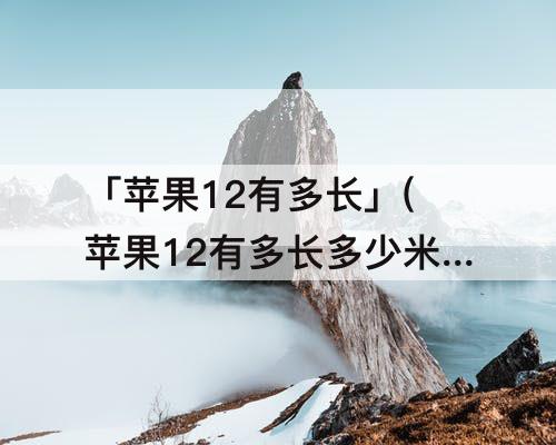「苹果12有多长」(苹果12有多长多少米)
