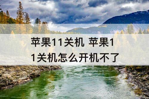 苹果11关机 苹果11关机怎么开机不了