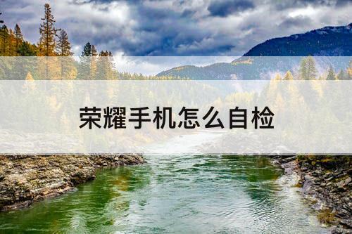 荣耀手机怎么自检