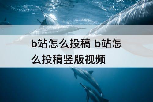 b站怎么投稿 b站怎么投稿竖版视频
