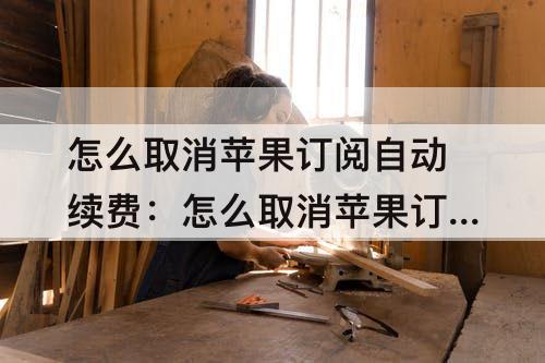 怎么取消苹果订阅自动续费：怎么取消苹果订阅自动续费icloud