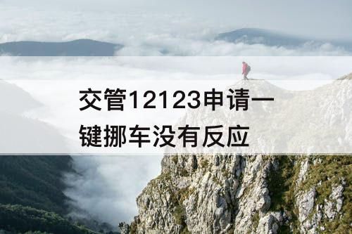 交管12123申请一键挪车没有反应