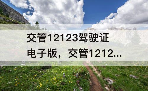 交管12123驾驶证电子版，交管12123驾驶证电子版照片怎么弄