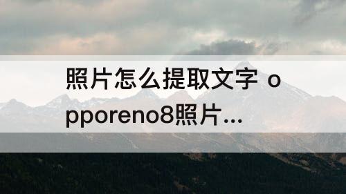 照片怎么提取文字 opporeno8照片怎么提取文字