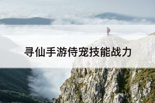 寻仙手游侍宠技能战力