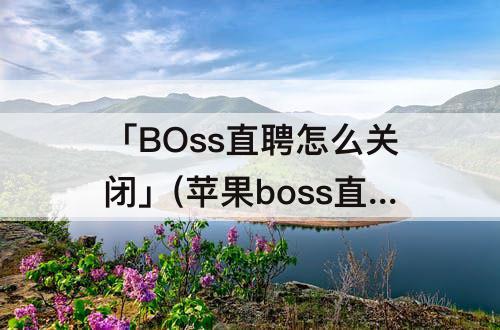 「BOss直聘怎么关闭」(苹果boss直聘怎么关闭求职状态)