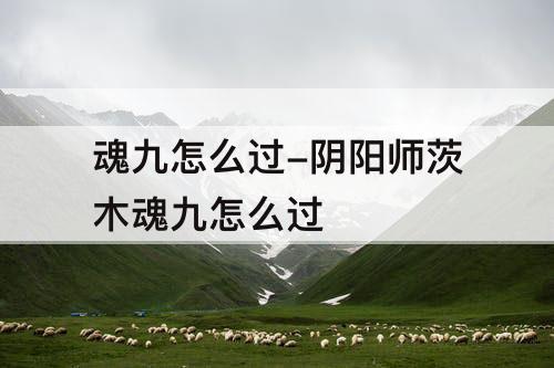 魂九怎么过-阴阳师茨木魂九怎么过