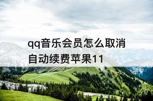 qq音乐会员怎么取消自动续费苹果11