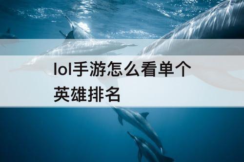 lol手游怎么看单个英雄排名