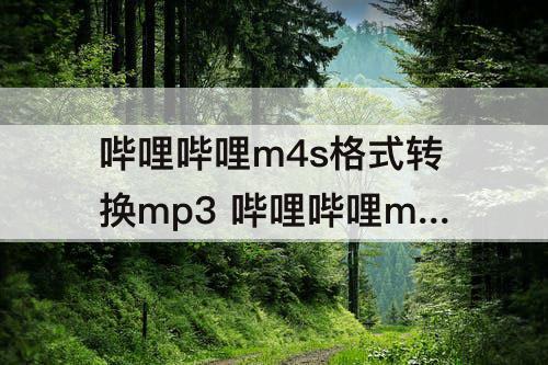 哔哩哔哩m4s格式转换mp3 哔哩哔哩m4s格式转换mp3网站