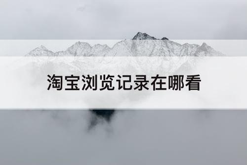 淘宝浏览记录在哪看