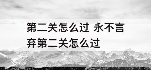 第二关怎么过 永不言弃第二关怎么过