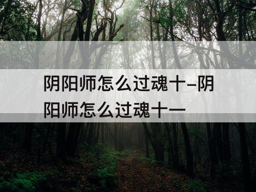 阴阳师怎么过魂十-阴阳师怎么过魂十一