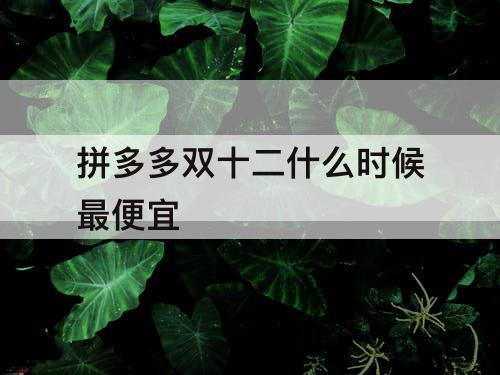 拼多多双十二什么时候最便宜