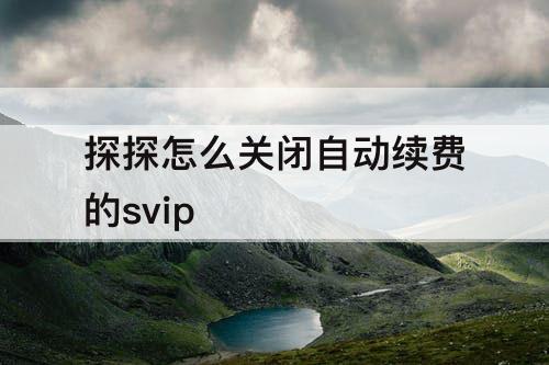 探探怎么关闭自动续费的svip