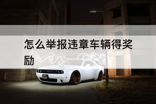 怎么举报违章车辆得奖励