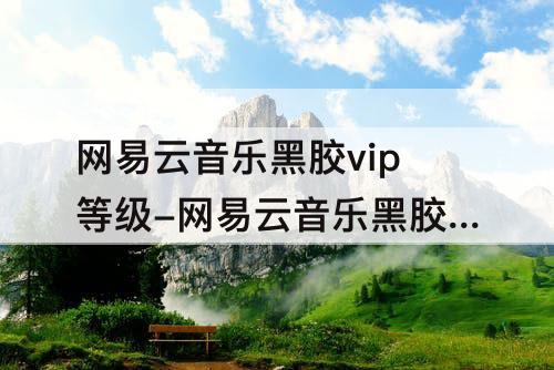 网易云音乐黑胶vip等级-网易云音乐黑胶vip等级怎么升