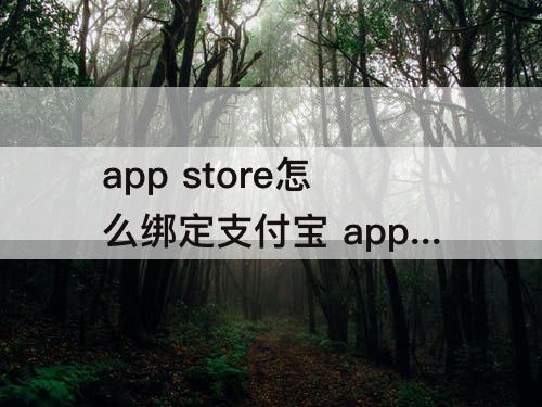 app store怎么绑定支付宝 app store怎么绑定支付宝支付