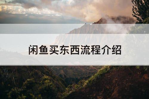 闲鱼买东西流程介绍