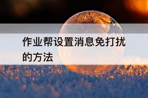 作业帮设置消息免打扰的方法