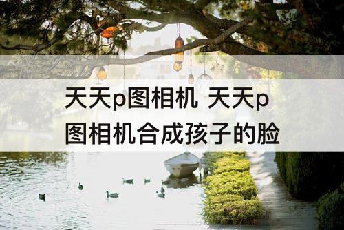 天天p图相机 天天p图相机合成孩子的脸