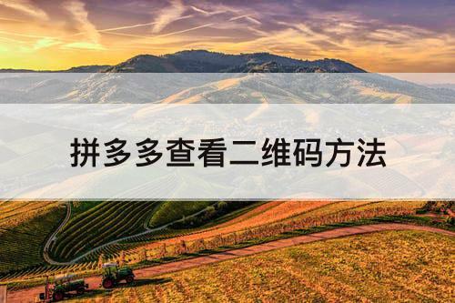 拼多多查看二维码方法