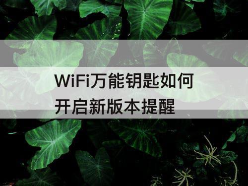 WiFi如何开启新版本提醒
