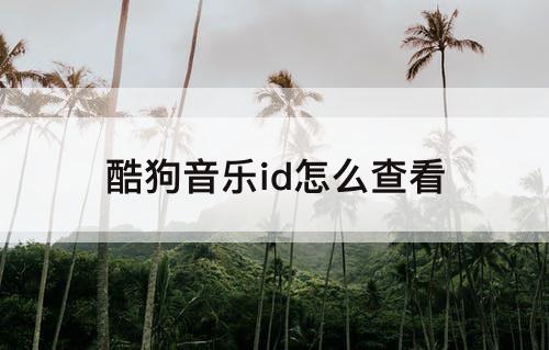 酷狗音乐id怎么查看