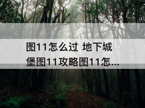 图11怎么过 地下城堡图11攻略图11怎么过