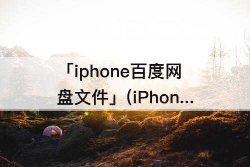 「iphone百度网盘文件」(iPhone百度网盘文件下载到哪了)