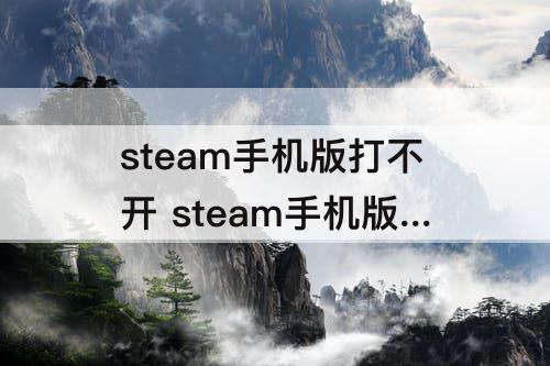steam手机版打不开 steam手机版打不开库存怎么办