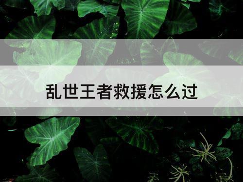 乱世王者救援怎么过