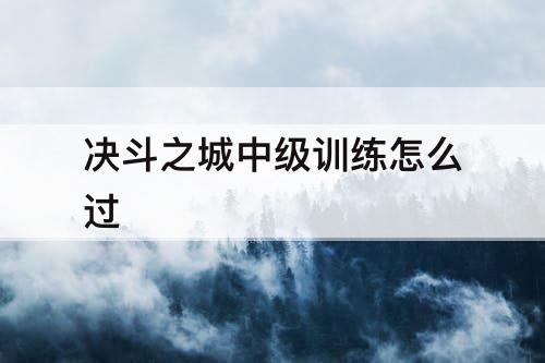 决斗之城中级训练怎么过