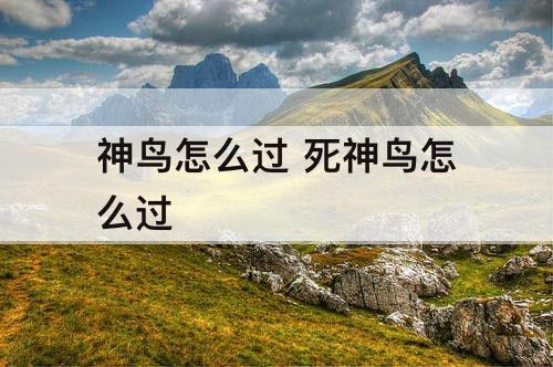 神鸟怎么过 死神鸟怎么过