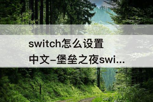 switch怎么设置中文-堡垒之夜switch怎么设置中文字幕