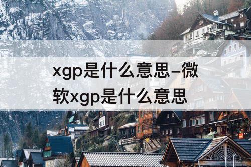 xgp是什么意思-微软xgp是什么意思