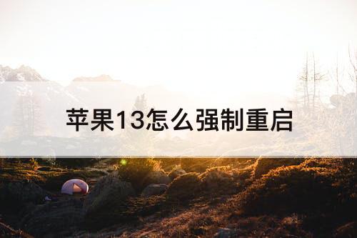 苹果13怎么强制重启