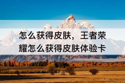 怎么获得皮肤，王者荣耀怎么获得皮肤体验卡