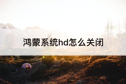鸿蒙系统hd怎么关闭