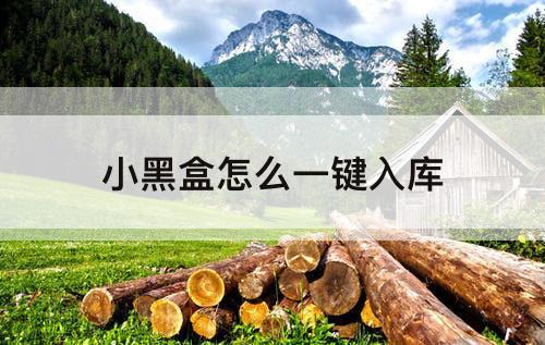 小黑盒怎么一键入库