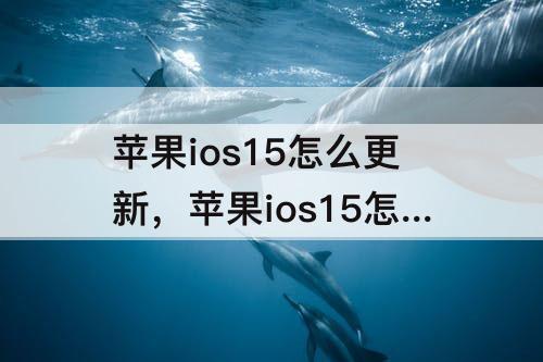 苹果ios15怎么更新，苹果ios15怎么更新?