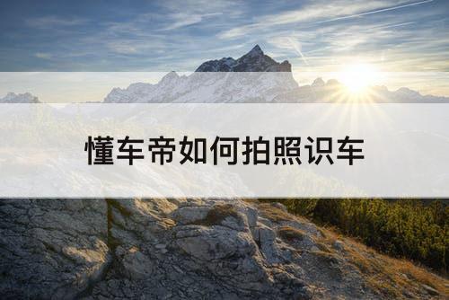 懂车帝如何拍照识车