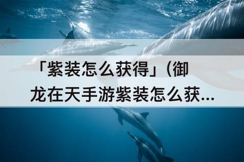 「紫装怎么获得」(御龙在天手游紫装怎么获得)