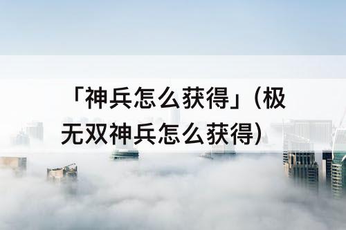 「神兵怎么获得」(极无双神兵怎么获得)