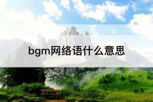 bgm网络语什么意思