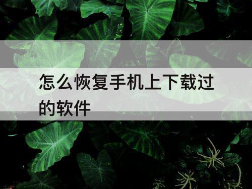 怎么恢复手机上下载过的软件