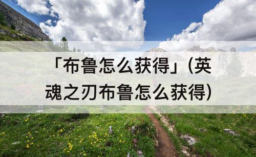 「布鲁怎么获得」(英魂之刃布鲁怎么获得)